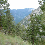 DSCF0439