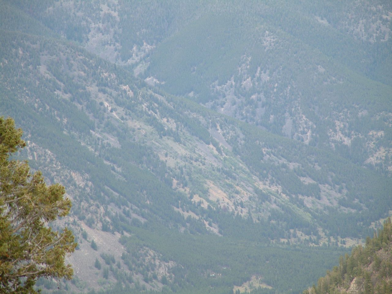 Loading Image