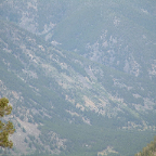 DSCF0441