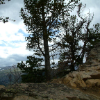 DSCF0443
