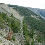 DSCF0456