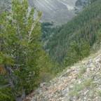 DSCF0463