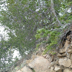 DSCF0470