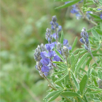 DSCF0471