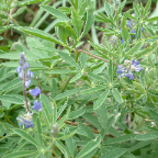 DSCF0472