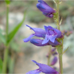 DSCF0473