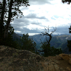 DSCF0478