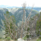 DSCF0479