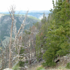 DSCF0480