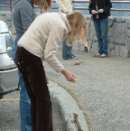 DSCF0487