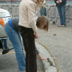 DSCF0488