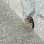 DSCF0491