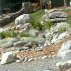 DSCF0496