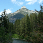 DSCF0500