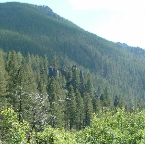 DSCF0511