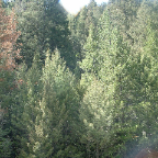 DSCF0513