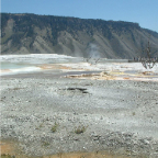 DSCF0531