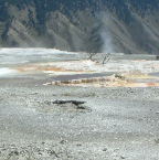 DSCF0533