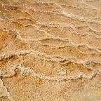 DSCF0534