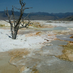 DSCF0539