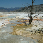 DSCF0540