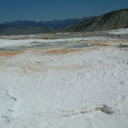 DSCF0544