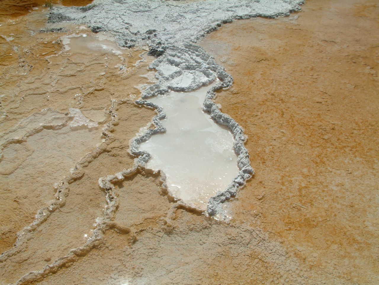 Loading Image