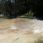 DSCF0549