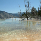 DSCF0550