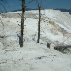 DSCF0554