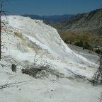DSCF0555