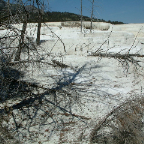 DSCF0557