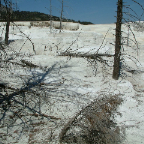 DSCF0558