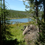 DSCF0560