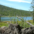 DSCF0561