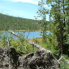 DSCF0562