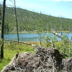 DSCF0563