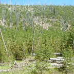 DSCF0564