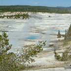 DSCF0567
