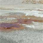 DSCF0586