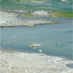 DSCF0588