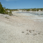 DSCF0590