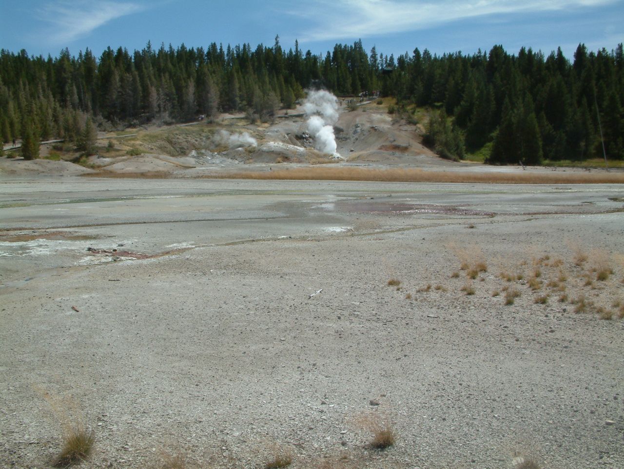 Loading Image