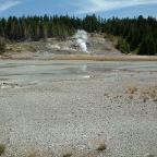 DSCF0591