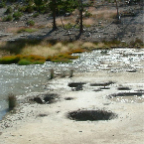 DSCF0601