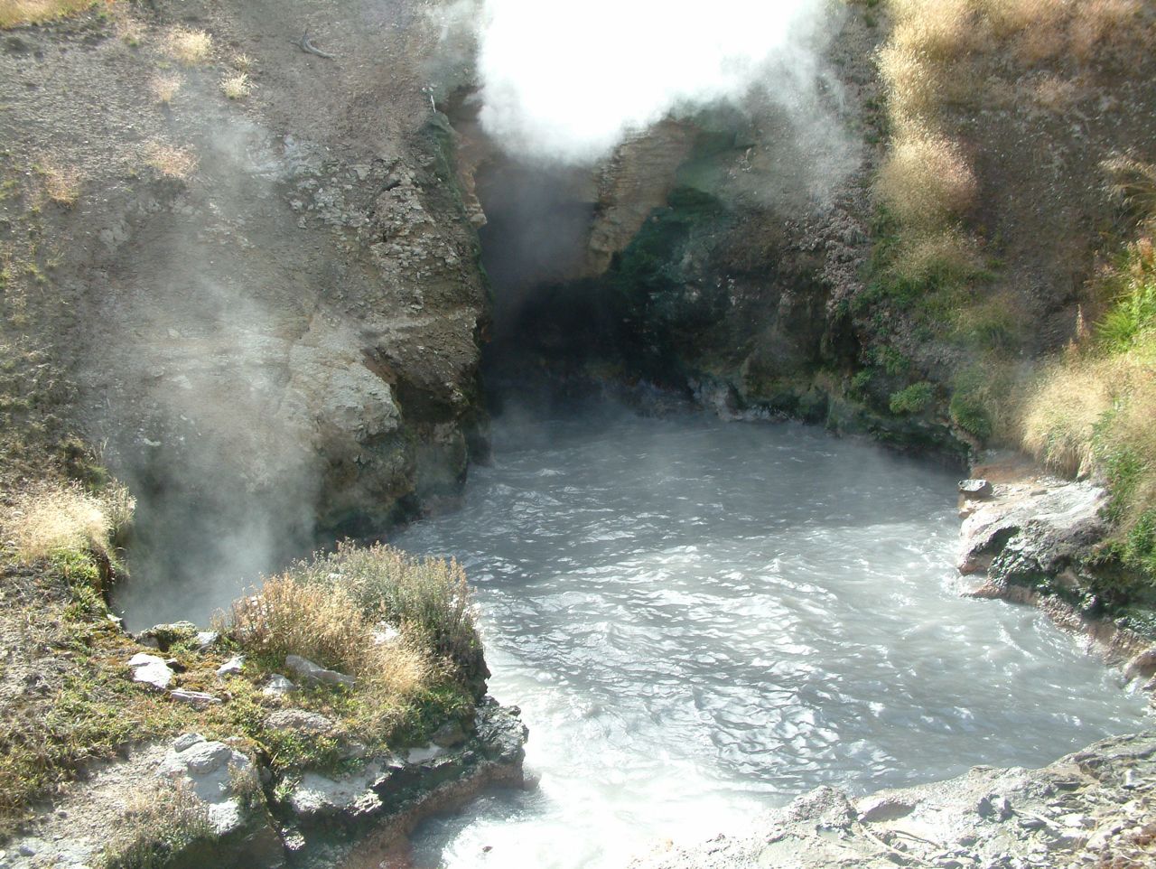 Loading Image