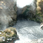 DSCF0602