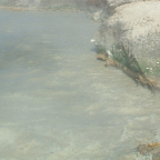 DSCF0619
