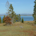 DSCF0626