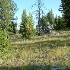 DSCF0628
